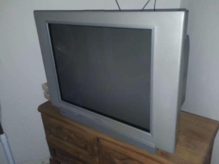 Televisor 29