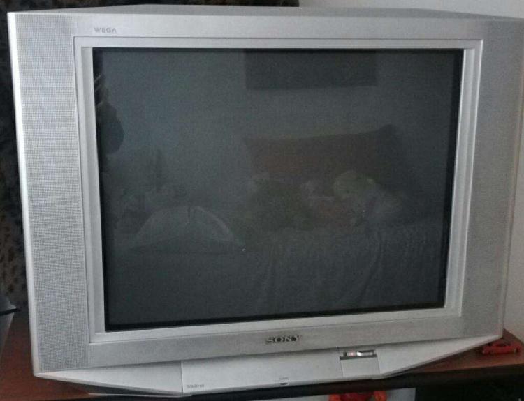 Tv Sony Wega Trinitron 29 Pgdas C/contro