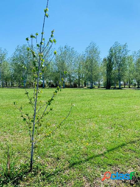 VENTA. LOTES EN PINARES DEL SUR PIÑERO DESDE 350m2 a 900m2.