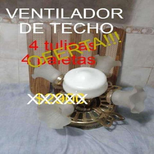 ventilador de techo