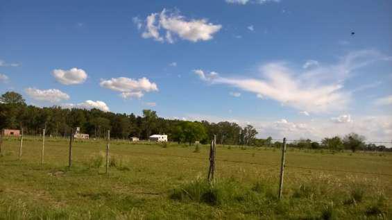 Lote de terreno sin mejoras en domselaar en San Vicente