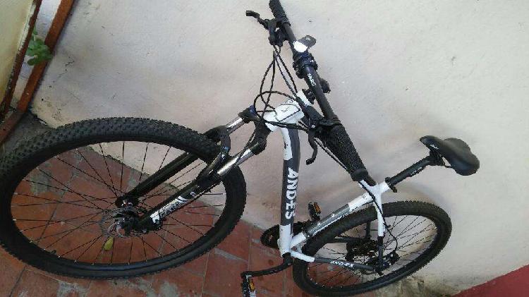 Bicicleta Rod 29 18.500