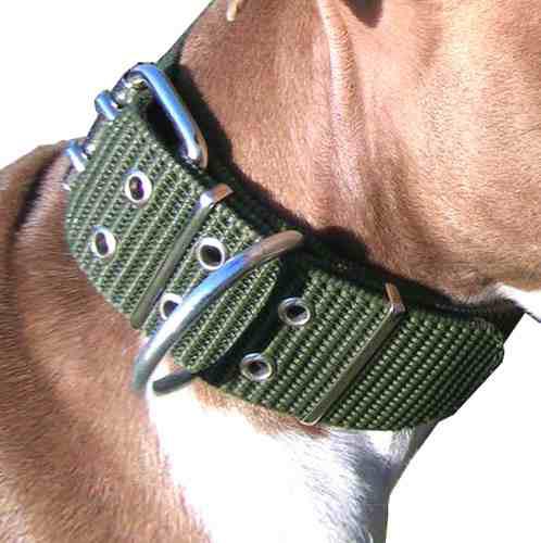 Collar Super Resistente Pretal Pechera Pit Bull Perro Rott