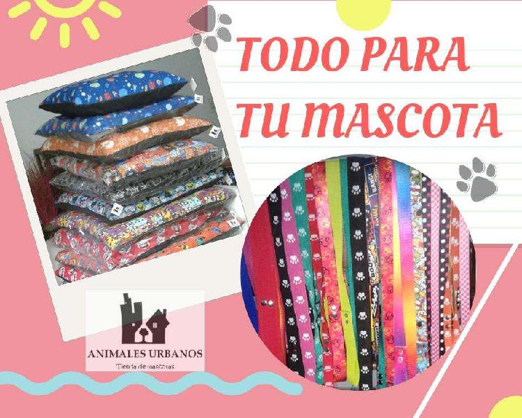 Accesorios para Mascota