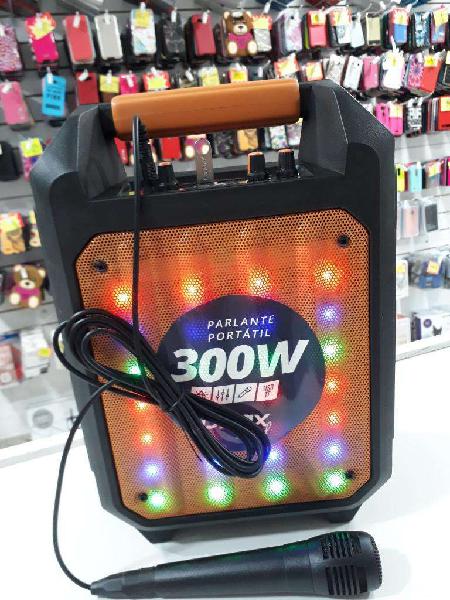 Parlante Karaoke 300w