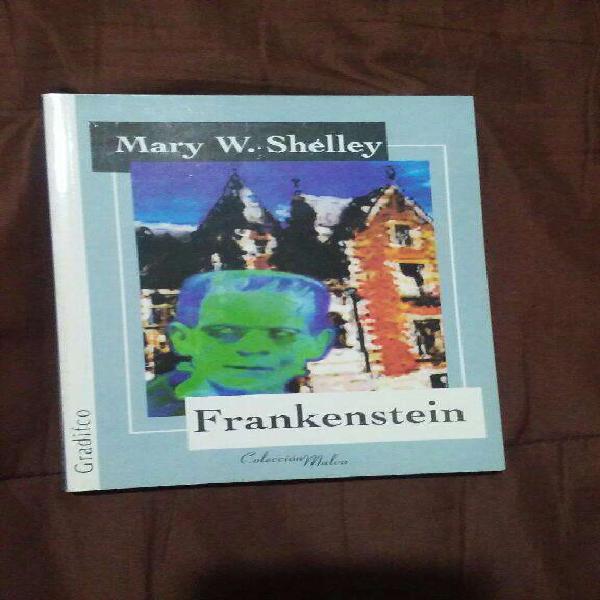Frankenstein de Mary W. Shelley