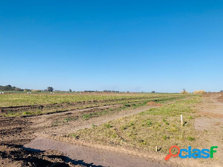 TERRENO EN OPORTUNIDAD A 13 MIN DE ROSARIO - AMPLIA