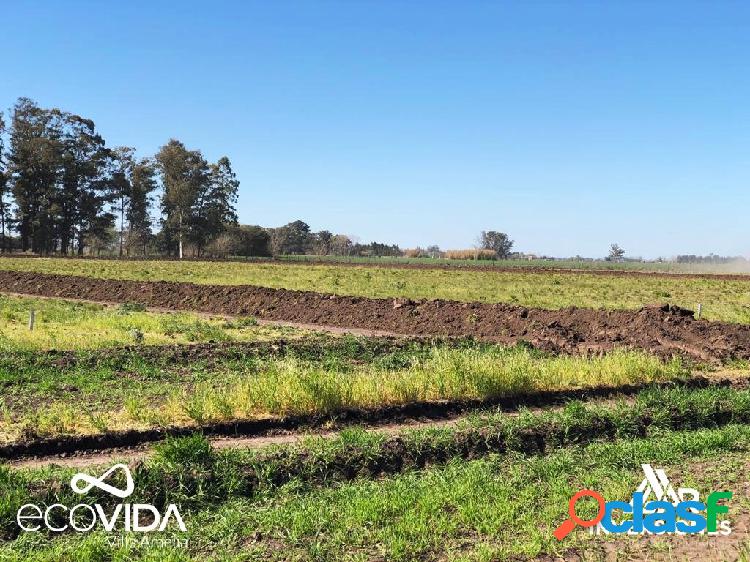 TERRENOS DE INVERSION - LA OPORTUNIDAD QUE ESTABAS ESPERANDO