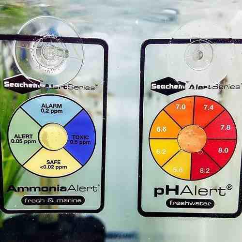 Combo Seachem Medidores Test Continuos Ph + Amoniaco Polypte