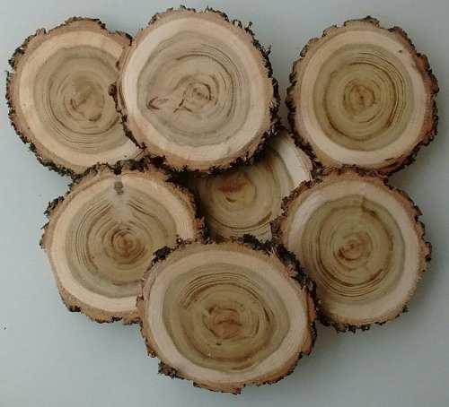 Rodajas Tronco 7x1cm(40un)madera Acacia Souvenirs Artesania
