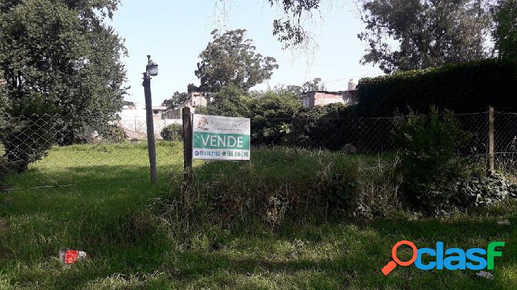 Lote