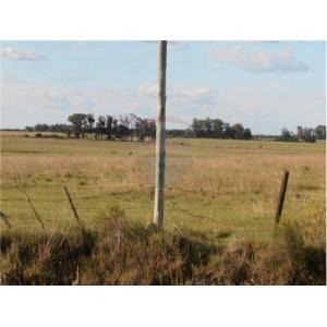 Campo en venta, Calle Labasela Entre 9 Y 10, Coronel