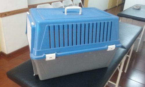 Caja Jaula Para Transporte De Mascotas