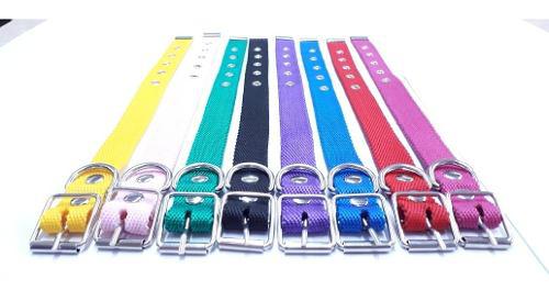 Collares Para Perros Pequeños Nro 2 Combo 10 Unidades