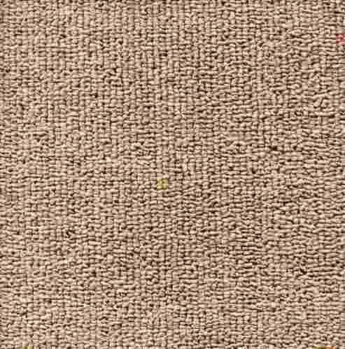 Alfombra Boucle Bucle De Alto Transito Beige X M2