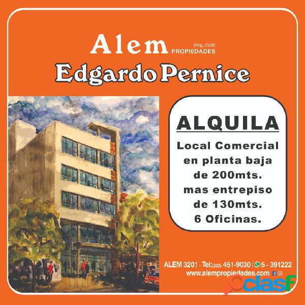 Alquiler Local y oficinas, sobre calle Alem- Playa Grande