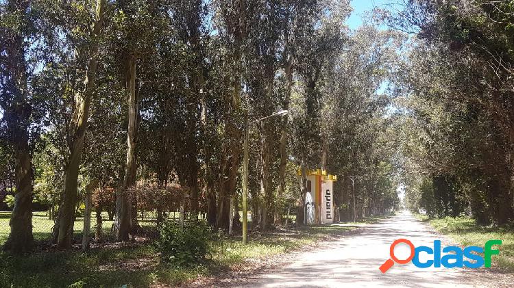 EN VENTA AMPLIOS TERRENOS PARQUE PEÑA - 850 M. CUADRADOS -