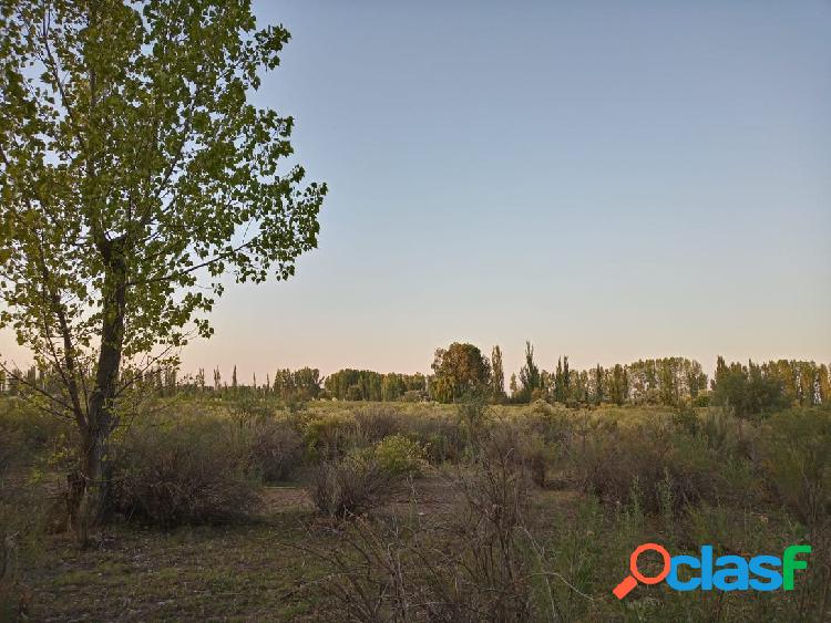 VENDO FINCA 5 HECTAREAS A METROS DE RUTA 150 Y RUTA 144 SAN