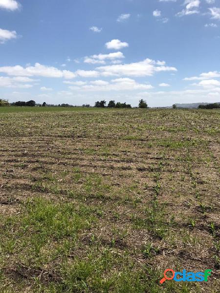 VENTA - Campo de 21 Hectareas a 12 Km de Balcarce y a 70 Km