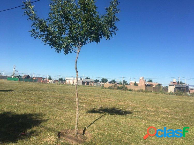 Barrio Abierto PUNTA CHACRA ROLDAN. Lotes con entrega