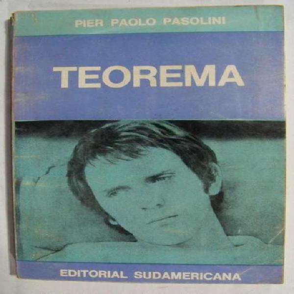 Libro: Teorema - Pier Paolo Pasolini - Sudamericana - La