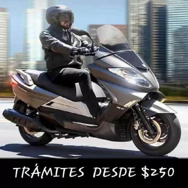 TODO TIPO DE TRÁMITES (SERVICIOS)