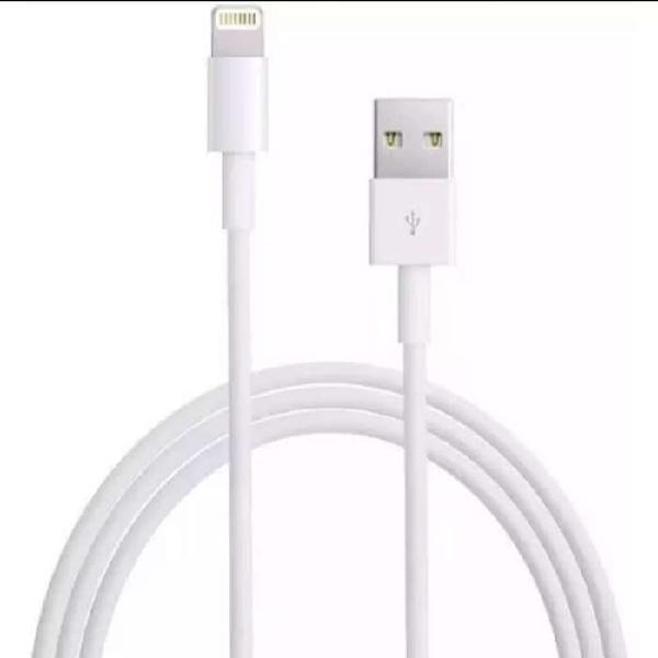 USB-C to lightning cable