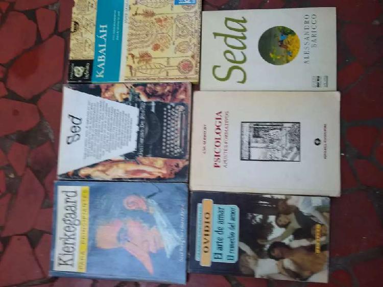 Varios libros clásicos modernos