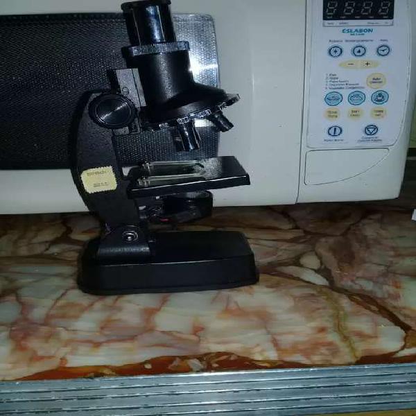 Microscopio