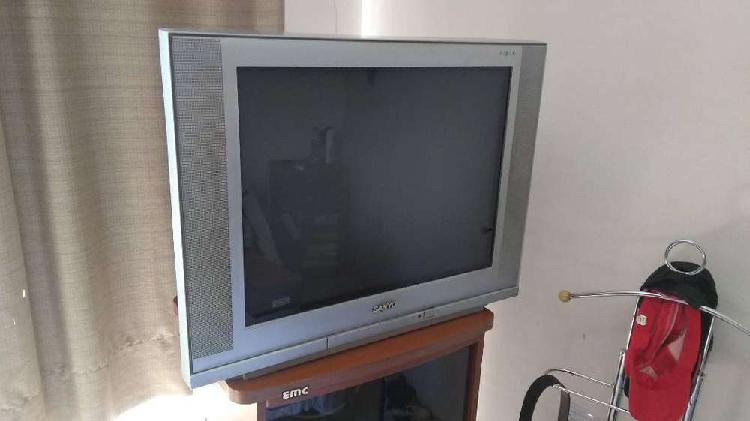 TV NOBLEX 21"