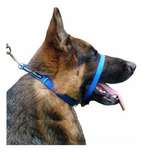 Canny Collar, Solución Definitiva Para Perros Que Tiran!