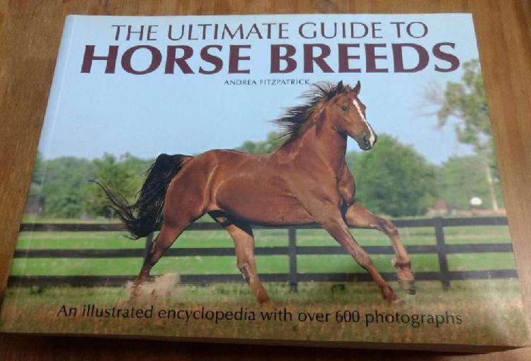 The Ultimate Guide To Horse Breeds