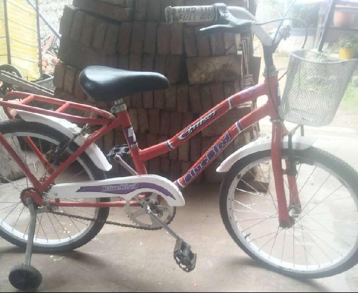 Vendo bici para nena 2000 c/u o 2× 3500