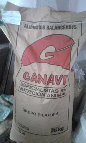 Alimento Conejin Ganave X 25 Kl