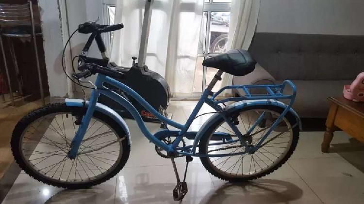 Bicicleta playera Rod 24