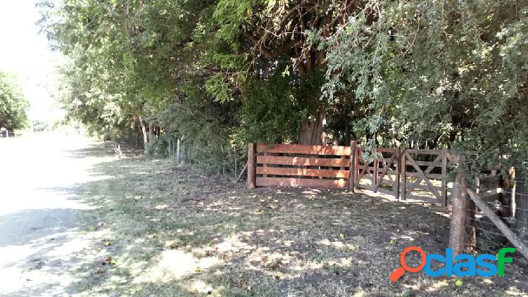 CAMPO EN MADARIAGA EN VENTA