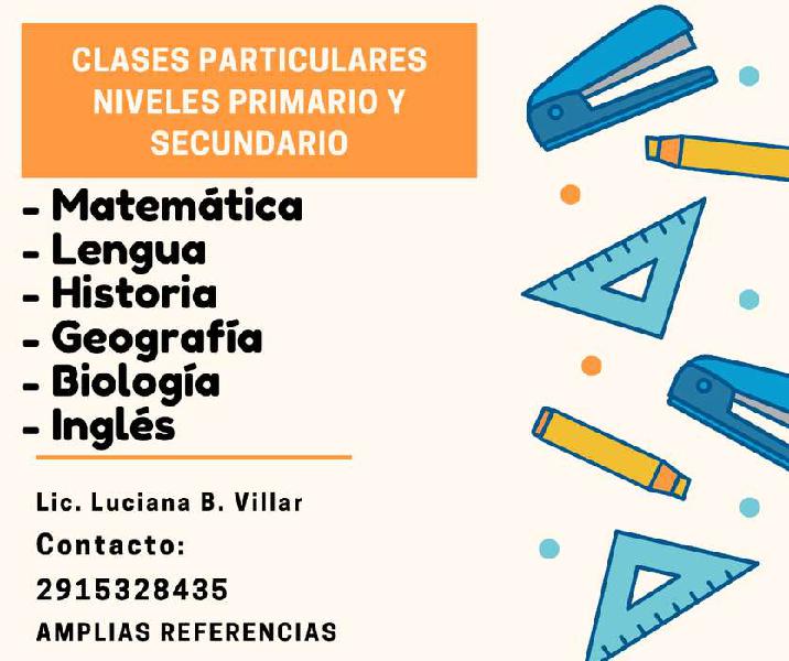 CLASES PARTICULARES NIVELES PRIMARIO Y SECUNDARIO ONLINE O