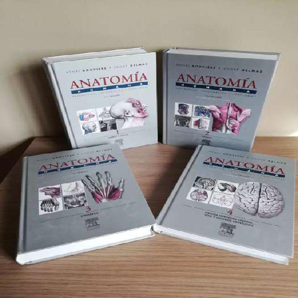 Anatomía Rouviere 11 edición ORIGINAL
