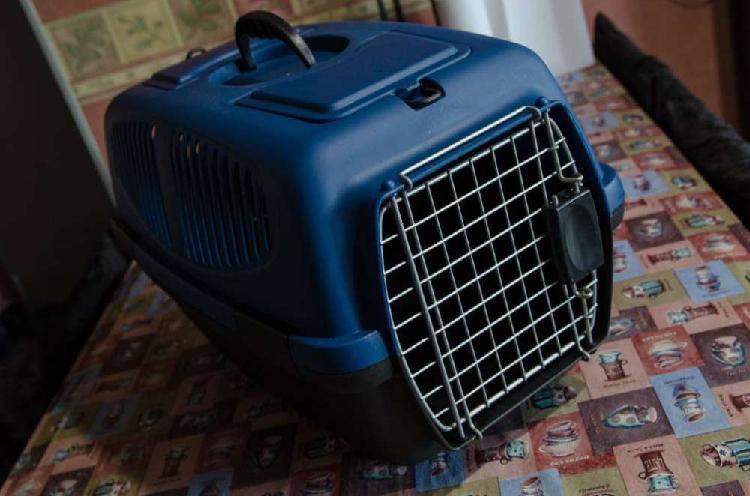 Caja Jaula Transportadora Perro Y Gato Azul
