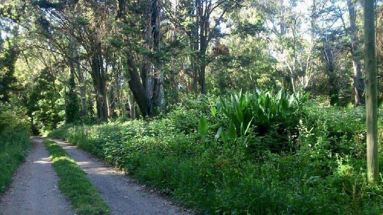 Lotes Bosque Peralta Ramos