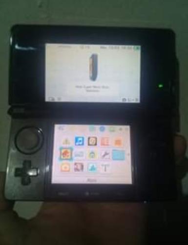 Nintendo 3ds Flasheada Con Su Cargador