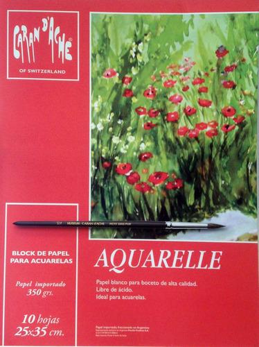 Block Aquarelle Caran Dache 35*50 Cm 10 Hs 350 Grs Acuarela