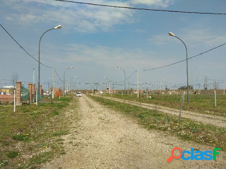 TERRENO ESCRITURADO CERCA DE ROSARIO - ZONA DE ALVEAR