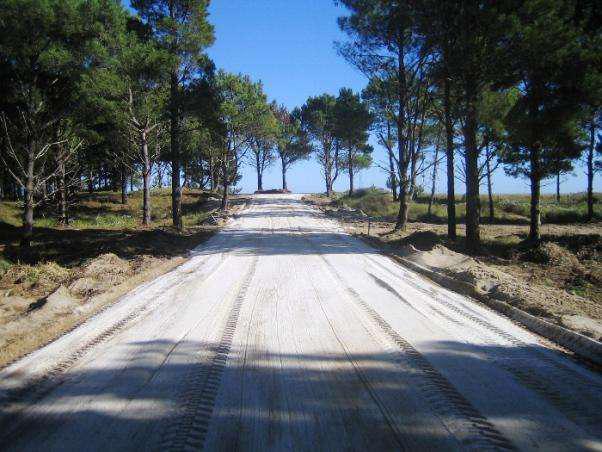 Terreno - Punta Medanos