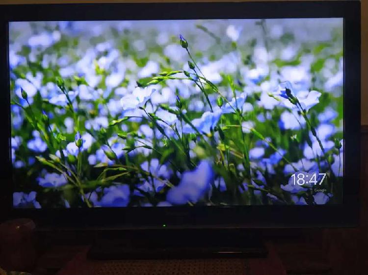 Vdo. TV 32" "Panasonic con Chromecast 3