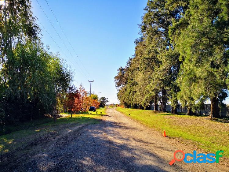 TERRENO EN LAS CASUARINAS IBARLUCEA. LOTE DE 456 MTS2