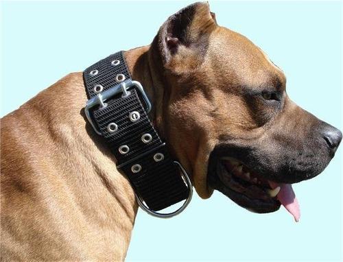 Collar Reforzado Para Razas Fuertes - Pitbull - Rott - Dogo