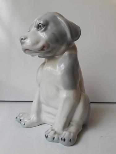 Hermosa Simpatica Antigua Figura Perro De Porcelana Europea