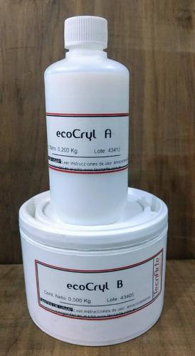 Tecnarte Ecocril Resina Acrilica Atoxica 700grs