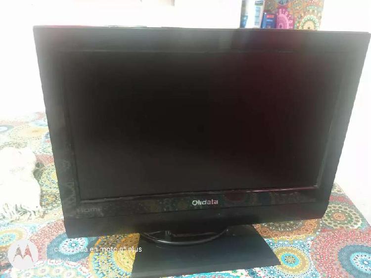 Monitor,tv Olidata